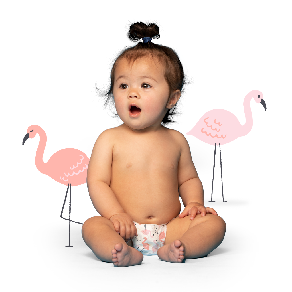 Flaming Fannies large photo